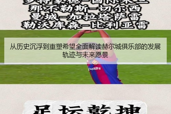 从历史沉浮到重塑希望全面解读赫尔城俱乐部的发展轨迹与未来愿景